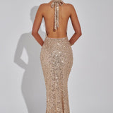 Carla Maxi Sequined Dress
