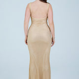 Polia Maxi Dress